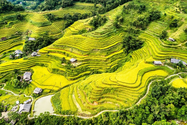 6D5N Exquisite Sapa / Hagiang/ Cao Bang / Ban Gioc Waterfall  Tour - photo 6
